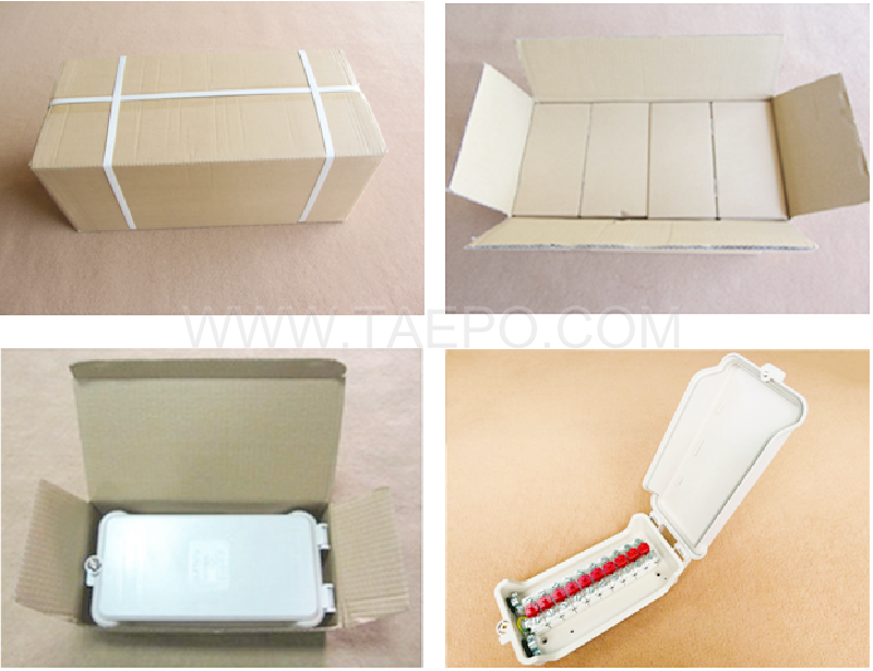 Packing Picture for outdoor 10 pair STB distribution box