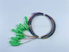 monomode 12 fibres SC / APC fibre optique fanout pigtail