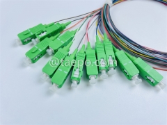 monomode 12 fibres SC / APC fibre optique fanout pigtail