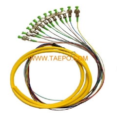 monomode 12 fibres FC / APC fibre optique fanout pigtail