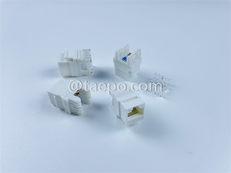 Prise Keystone, CAT6, UTP, 8P8C, 180 degrés, style AP