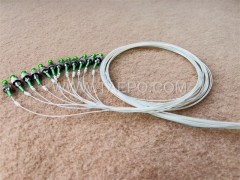 Pigtail à fibre optique monomode 12 fibres FC APC