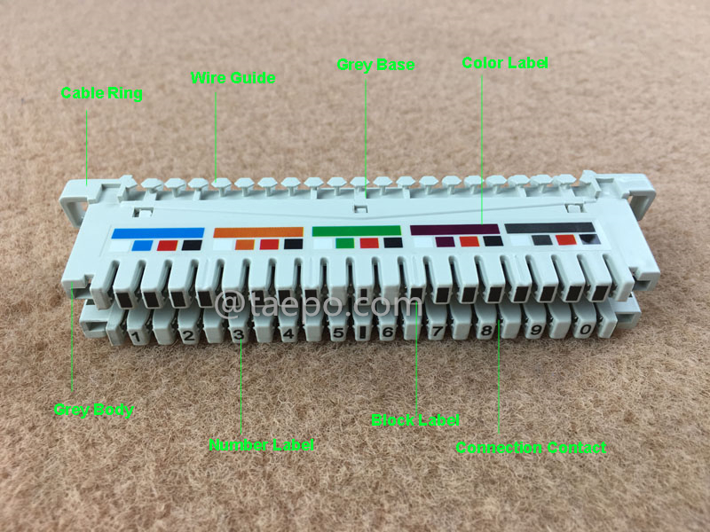 illustration pour module de connexion LSA 10 paires avec étiquette colorée