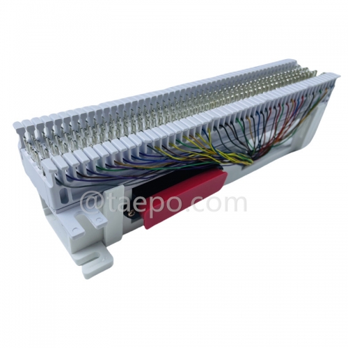 Bloc S66M de 50 paires avec 1 connexion RJ21 femelle à 50 broches