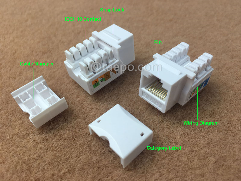 Illustrations pour prise Keystone, CAT6, UTP, 8P8C, 90 degrés, style AP