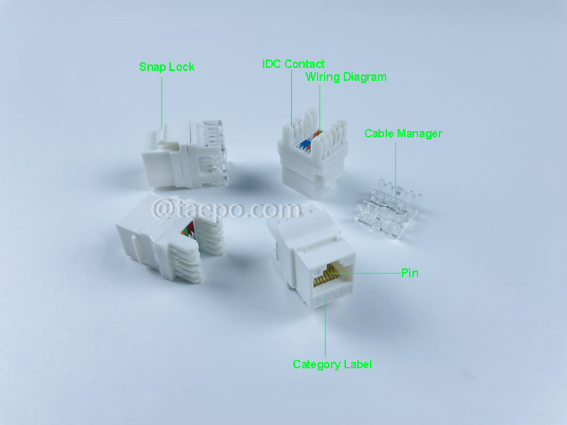 Images illustratives pour Keystone jack, CAT6, UTP, 8P8C, 180 degrés, style AP