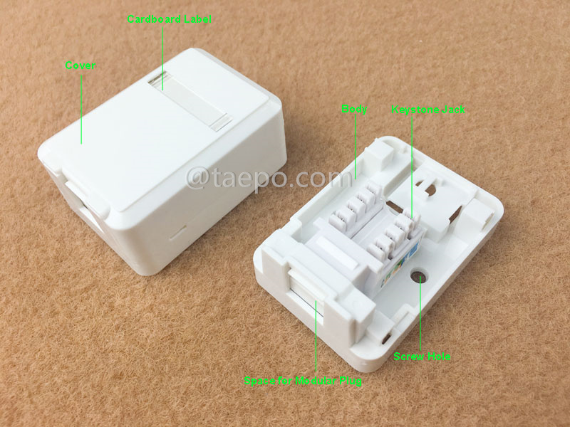 Images illustratives pour boîte de surface 1 port, CAT5E, RJ45, 8P8C, UTP, style AP