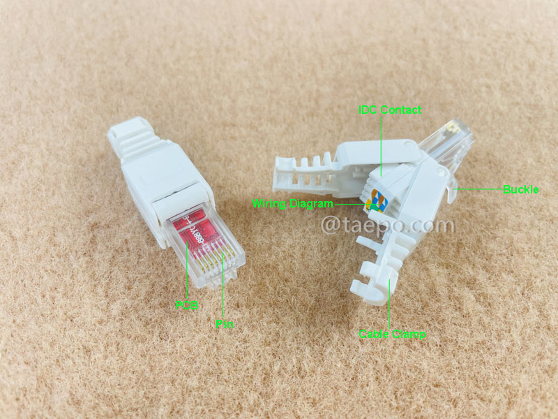 Images illustratives pour Prise modulaire, CAT6, RJ45, 8P8C, UTP, sans outil