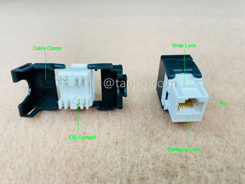 Illustrations pour Keystone jack, CAT6A, UTP, 8P8C, 180 degrés, style AP