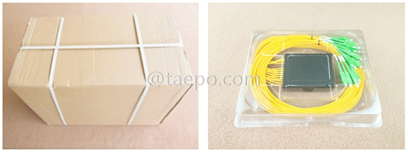 Images d’emballage du répartiteur optique, PLC, boîtier en plastique, 2x8, avec connecteur SC/APC