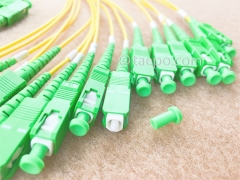 Répartiteur optique, PLC, boîtier en plastique, G657A, 1x32, tube lâche de 2 mm, 1 m, avec connecteur SC/APC